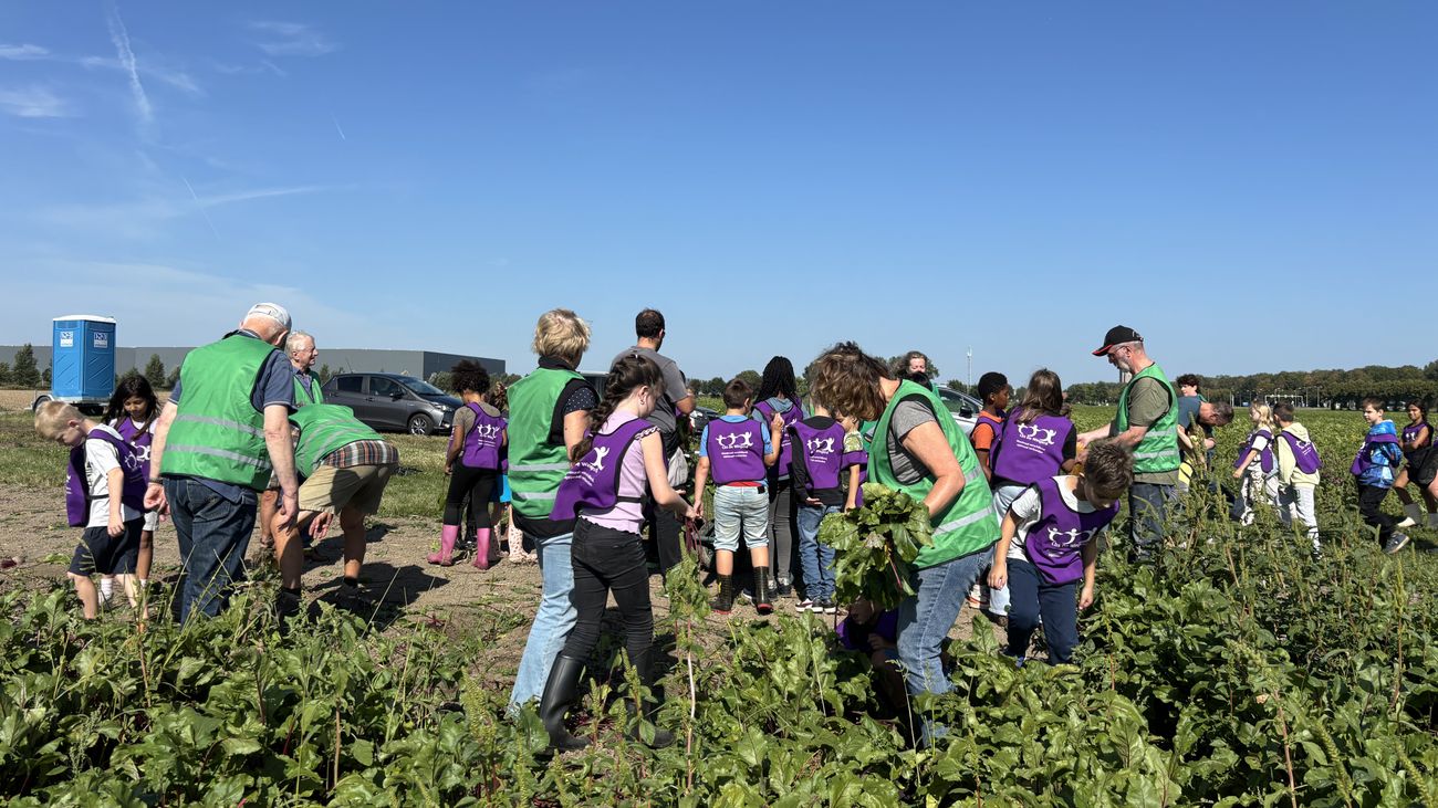 Stadskinderen maken kennis met het boerenleven: 'Wat is dat groene?'