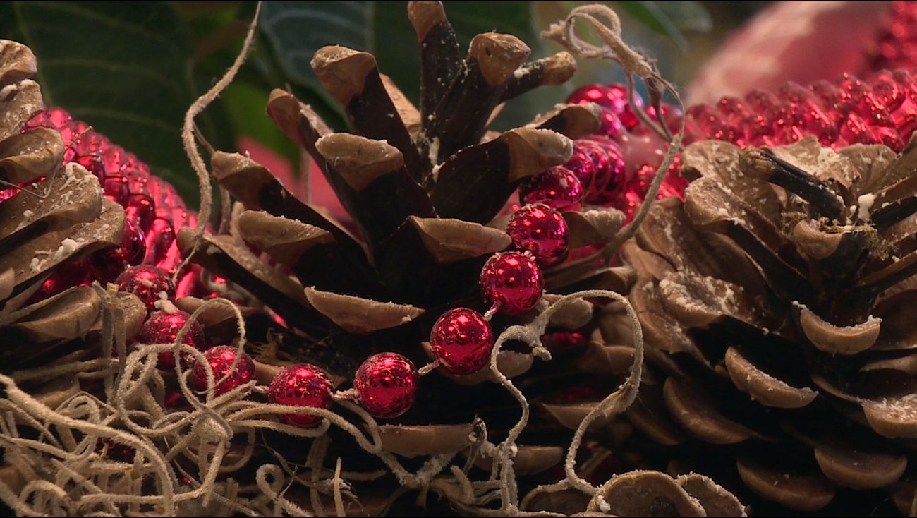 Gemist - Carola is buurvrouw met een hart van goud