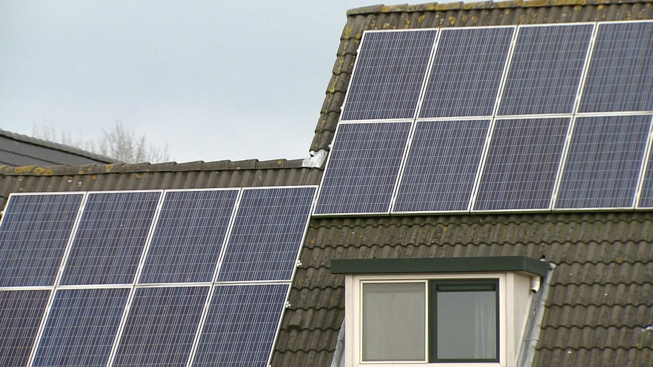Almere hoopt isoleren van koophuizen gemakkelijker te maken maar houdt oog voor beschermde diersoorten