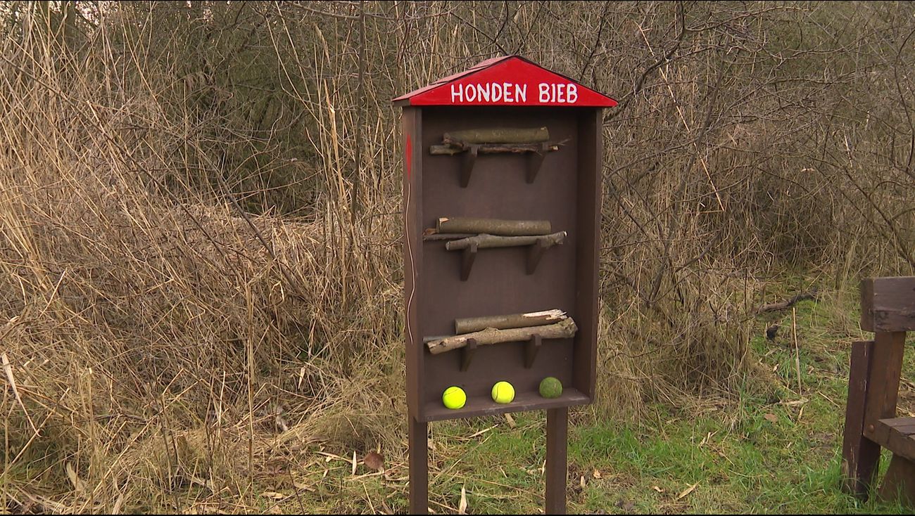 Nieuws - Honden dolblij met speeltjes in eigen bibliotheek in Vliegerpark