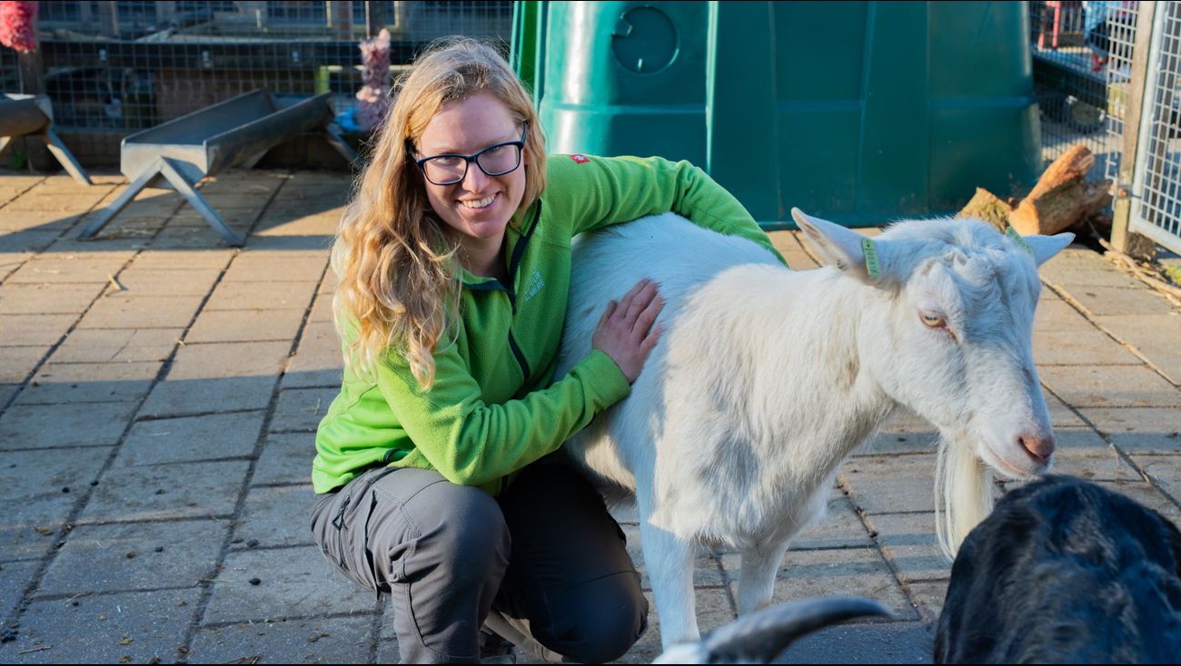 Nieuws - Kinderboerderij De Beestenbende zit vol: 'Koop alleen een dier als je het kunt verzorgen'