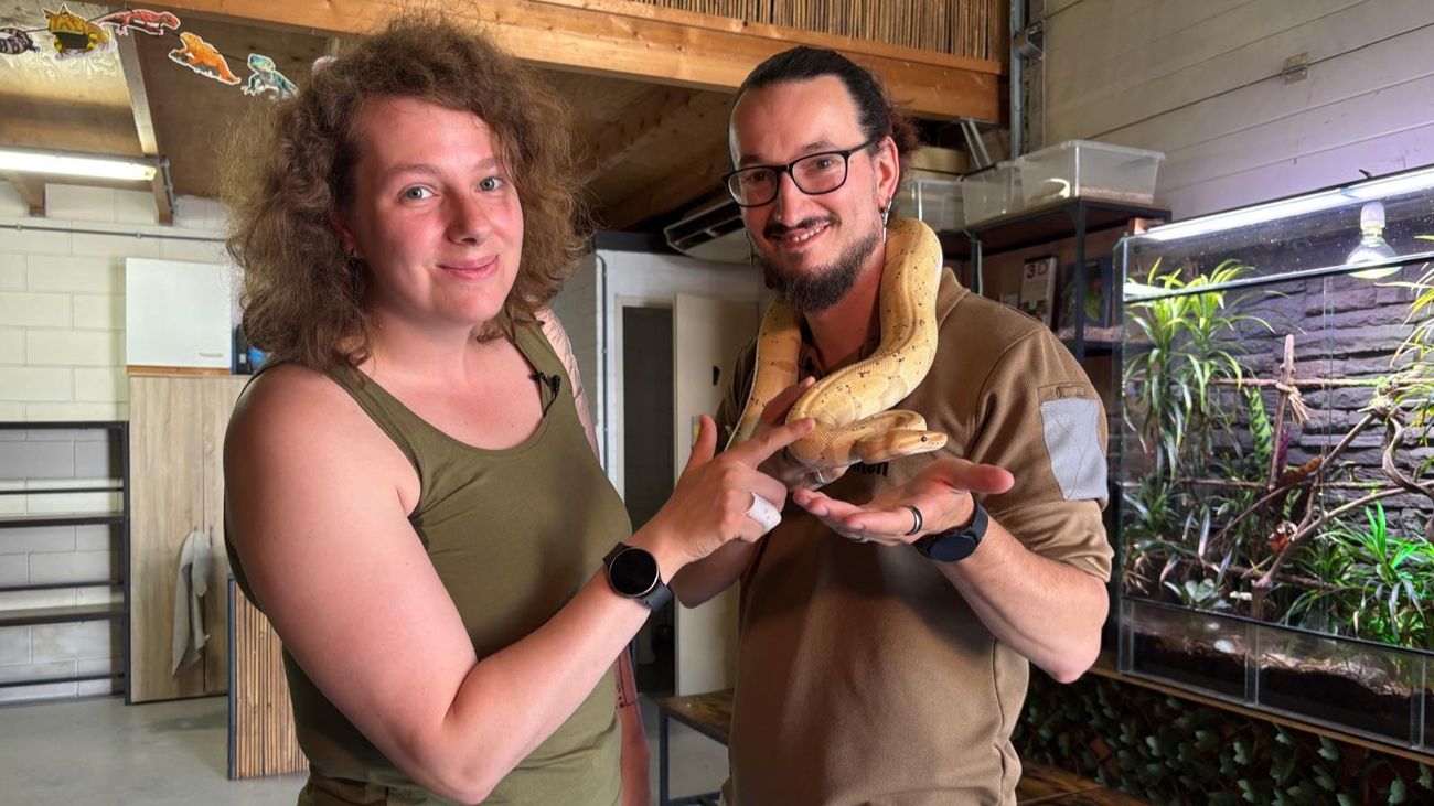 Nieuws - Reptielenopvang: 'We doen hier eigenlijk elke dag aan de Dag van de Slang'