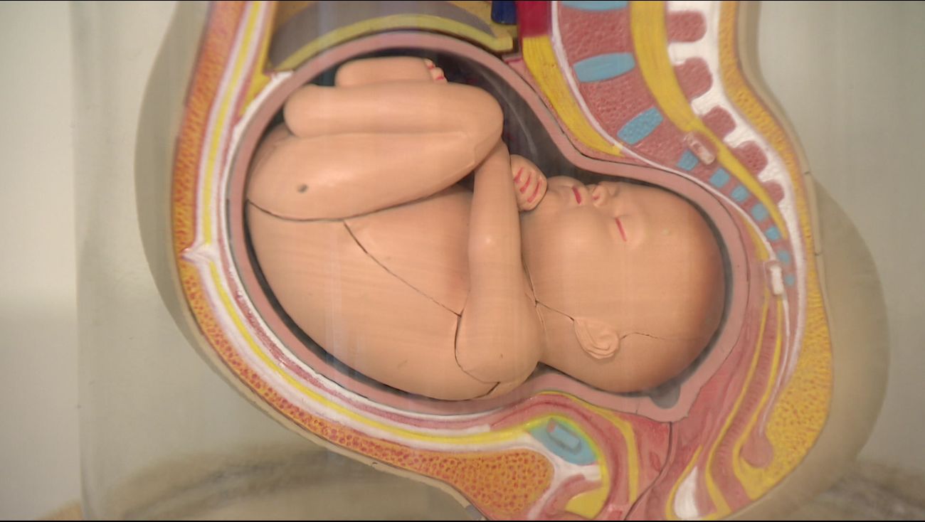 Nieuws - Tuchtcollege geeft verloskundige een waarschuwing over handelen