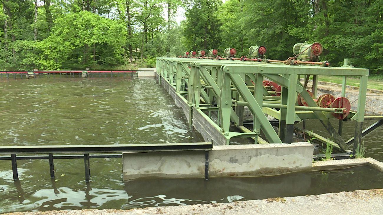 Nieuws - Oude golfmachine in Waterloopbos draait weer voor even